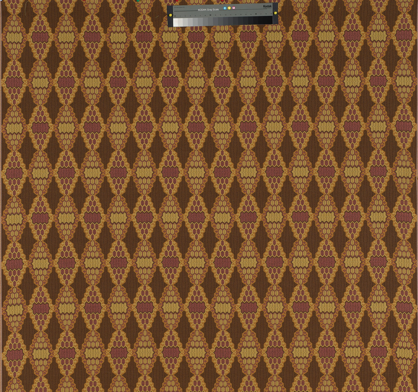 Tessuto “Honey” Etro