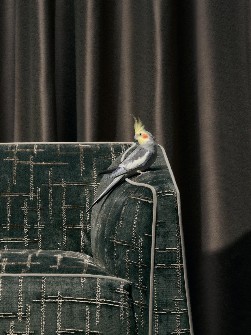 Tessuto “Scratch” Rubelli