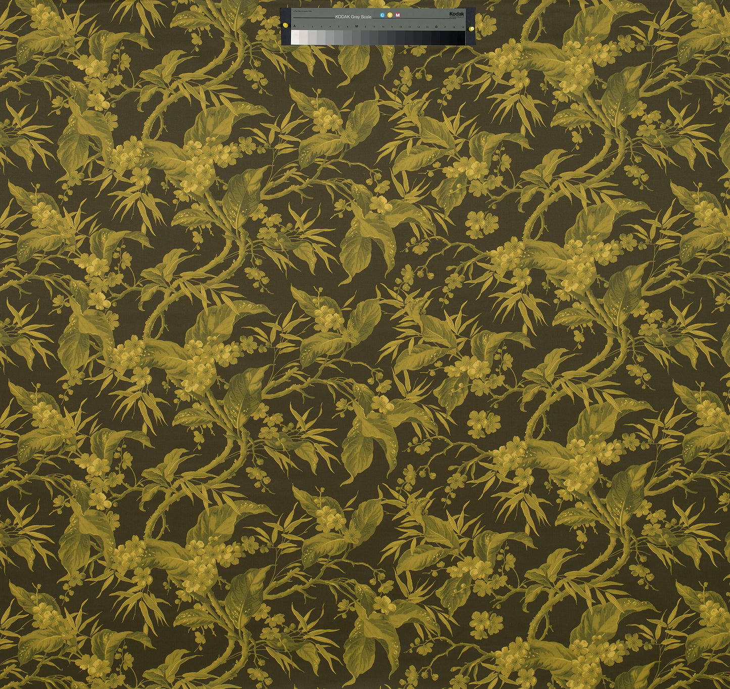 Tessuto “Peach” Etro