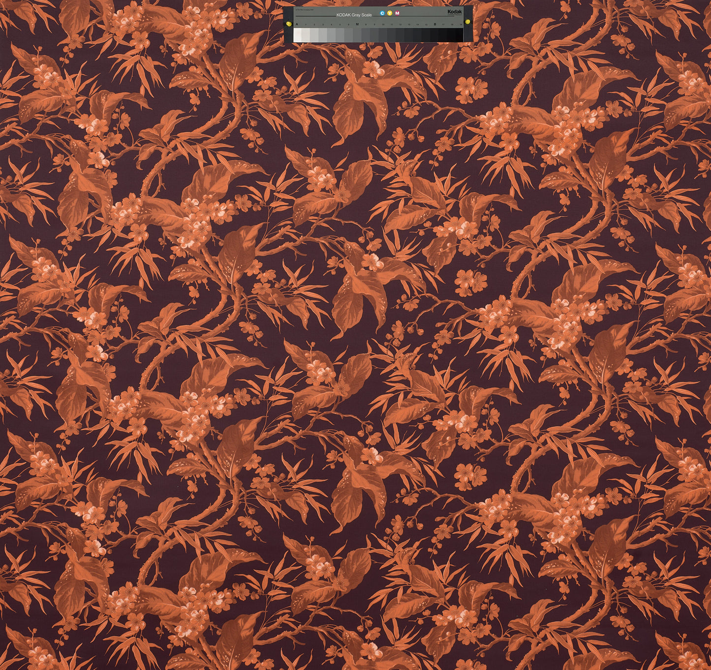 Tessuto “Peach” Etro