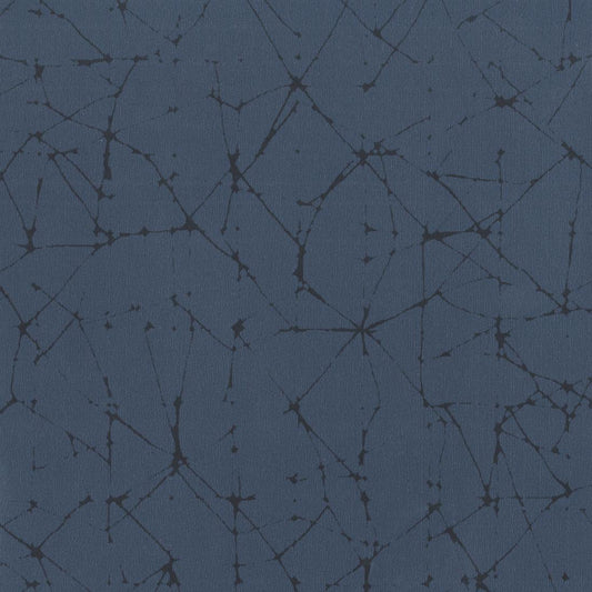 carta da parati vermeer col iris rubelli