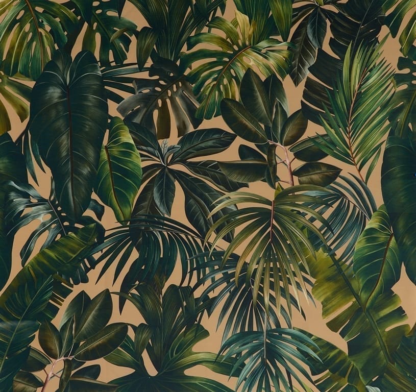 Carta da parati Giungla