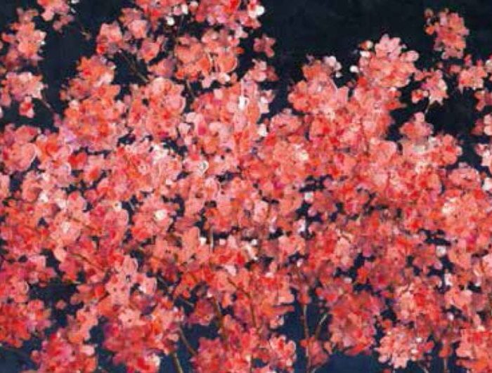 Quadro Cherry Blossom 2
